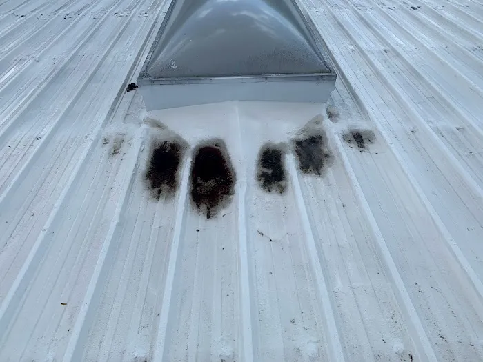 X W Construction LLC Picture 9