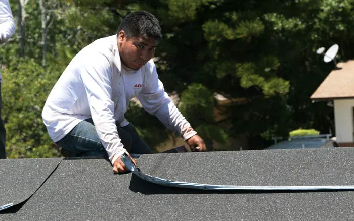 Galvan Roof Repair Solutions Picture 4