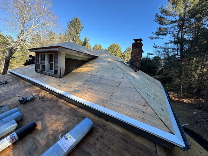 SkyShield Roofing Picture 1