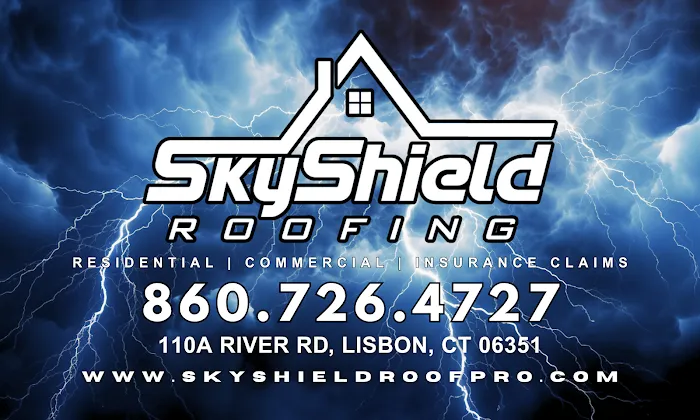 SkyShield Roofing Picture 10