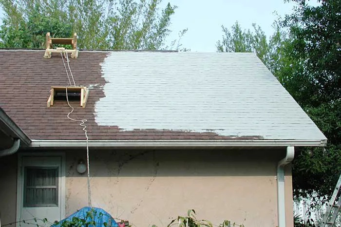 Lifetime Home & Roof Coatings Picture 6