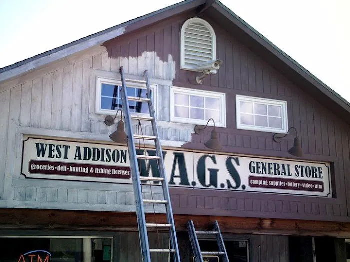 Lifetime Home & Roof Coatings Picture 7