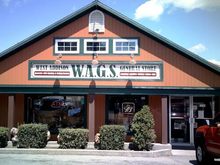 Lifetime Home & Roof Coatings Picture 4