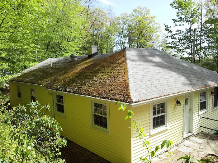 Roof Clean Plus, LLC Picture 8