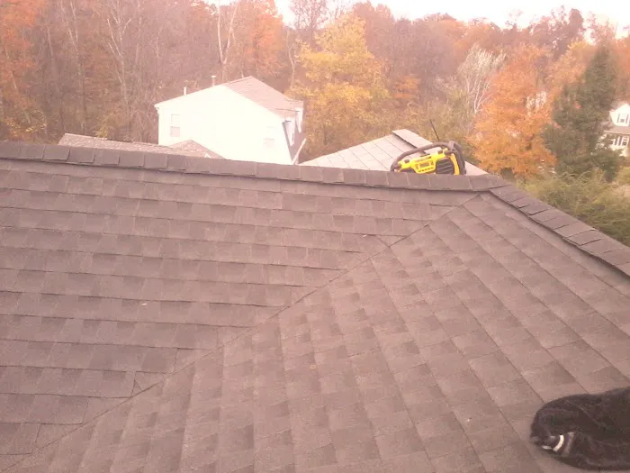 roof company Better Home Remodeling Picture 5