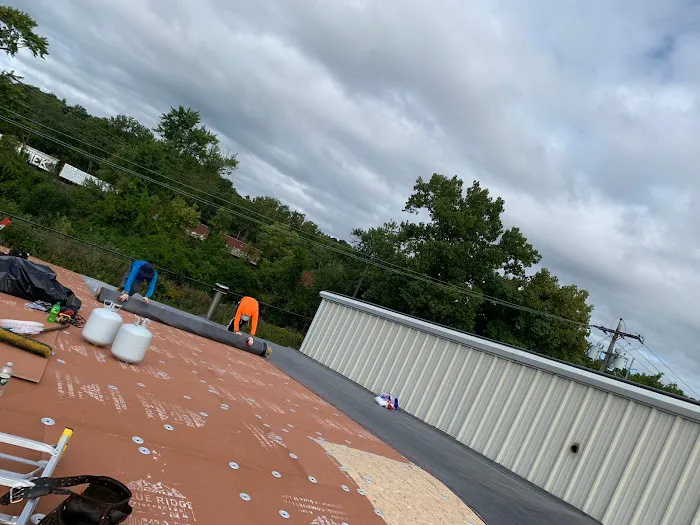 Art Roofing Picture 3