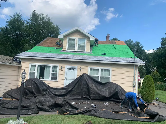 Art Roofing Picture 8