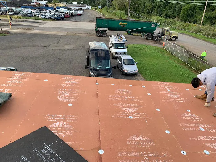 Art Roofing Picture 10