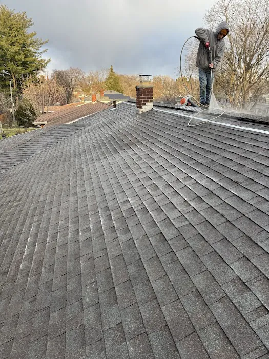 Mike's Roofing Repair and Carpentry Picture 9