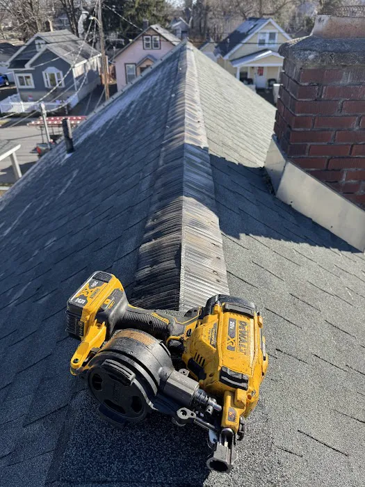 Mike's Roofing Repair and Carpentry Picture 5