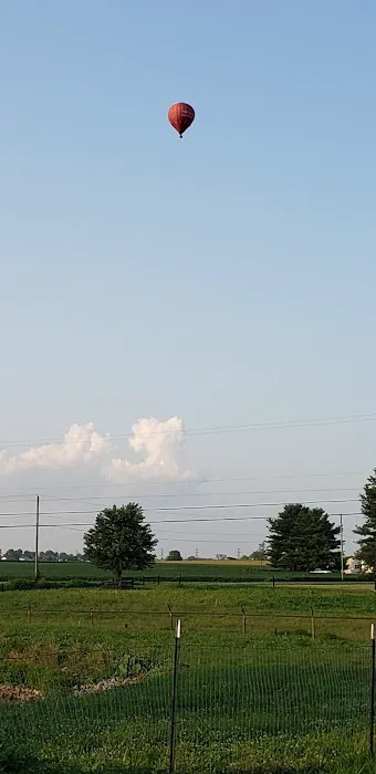 S & M Siding Picture 2