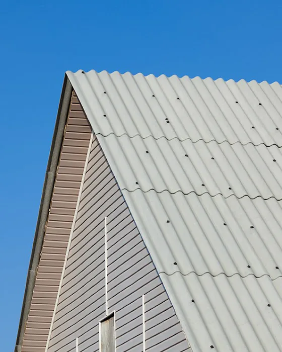 Scenic View Roofing Picture 9