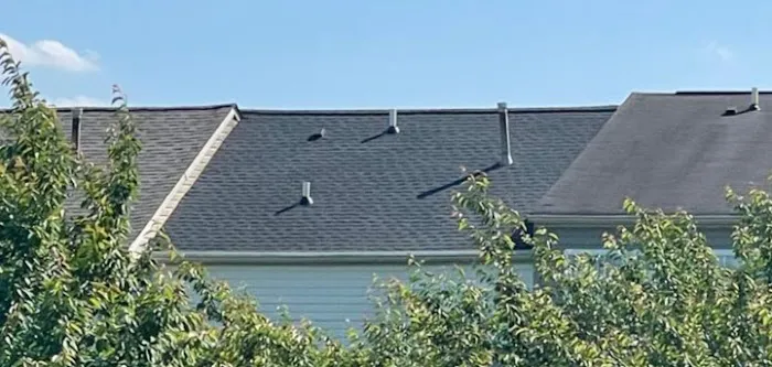 Elmer's Roofing Picture 6