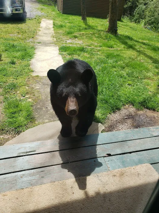 Rhoads Rubber Roofing Picture 9