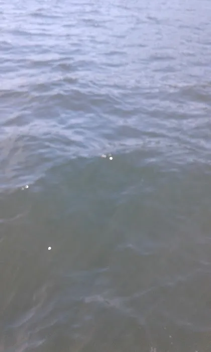 K. L. Hubbard Slate Roof and Chimney Repair Picture 1