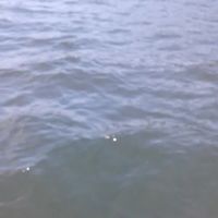 K. L. Hubbard Slate Roof and Chimney Repair ico