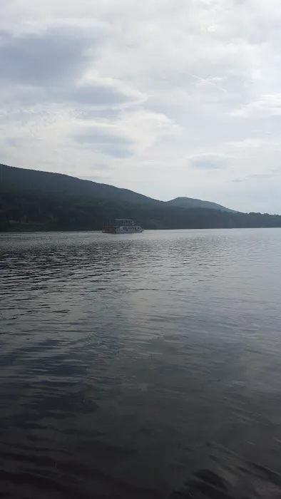 K. L. Hubbard Slate Roof and Chimney Repair Picture 9