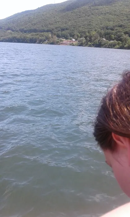 K. L. Hubbard Slate Roof and Chimney Repair Picture 2