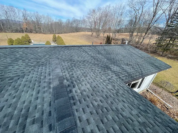 ROOFX Roofing Picture 6