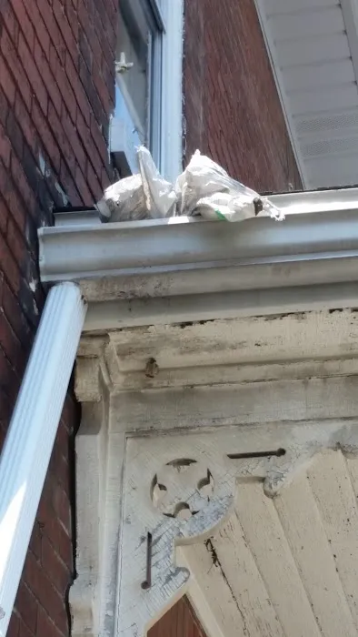 Mount Joy Roofing Picture 3