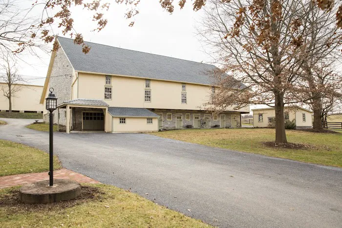 MR Roofing Picture 9