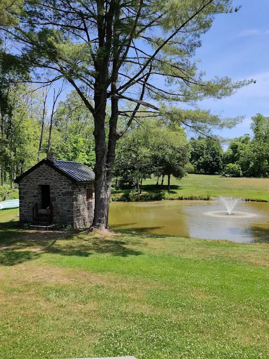 Eclipse Roofing, LLC Picture 4