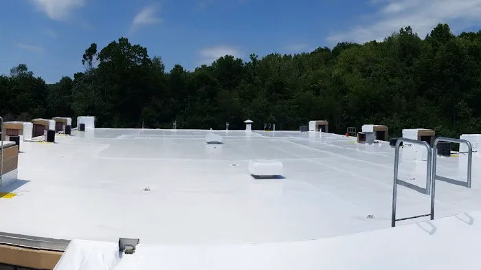 Seamless Roof Systems Picture 1