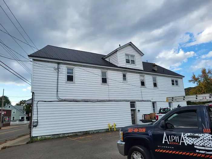 Alpha Roofing Inc. Picture 6