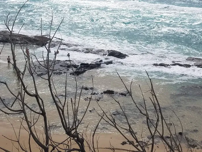 Wilder Construction and Remodeling Picture 9