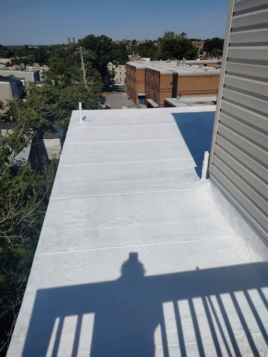 1st Amazon Roofing Picture 10
