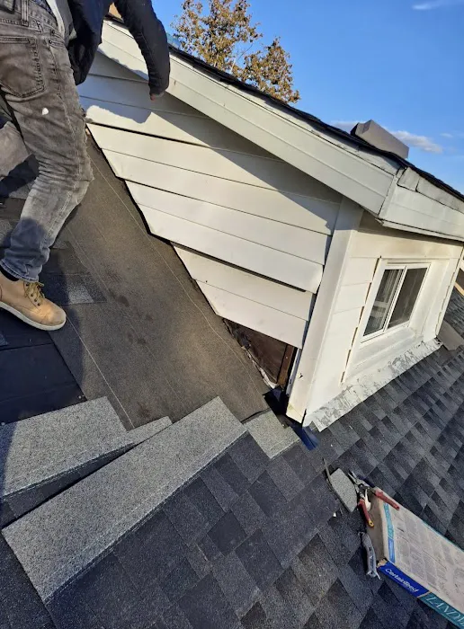 1st Amazon Roofing Picture 7