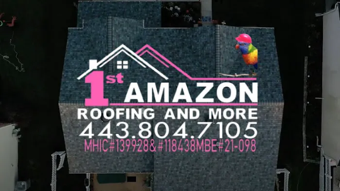 1st Amazon Roofing Picture 1