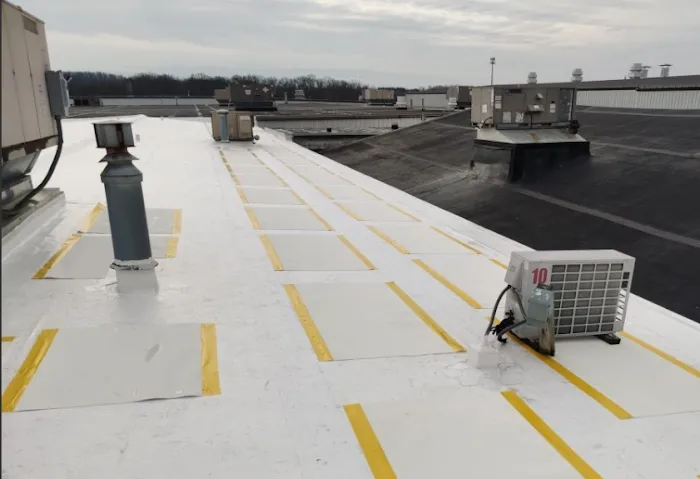 Moser Roofing Solutions Picture 3