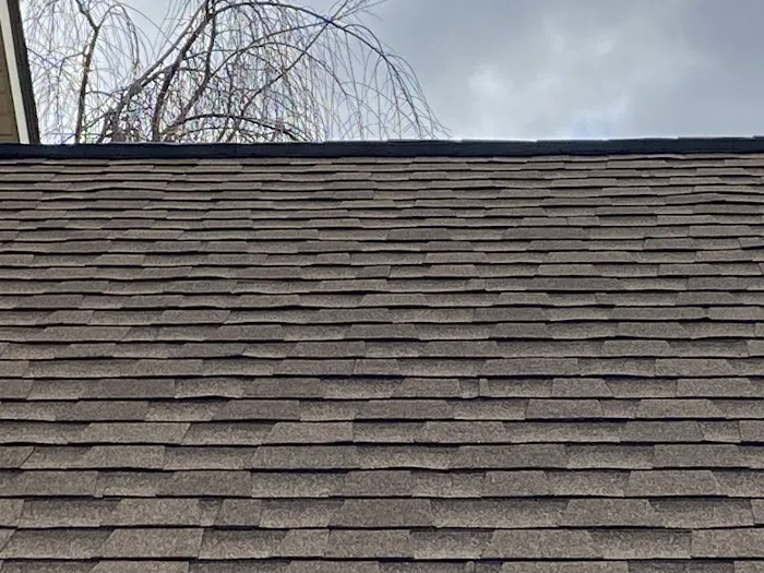 Craftsman Roofing Group Picture 1