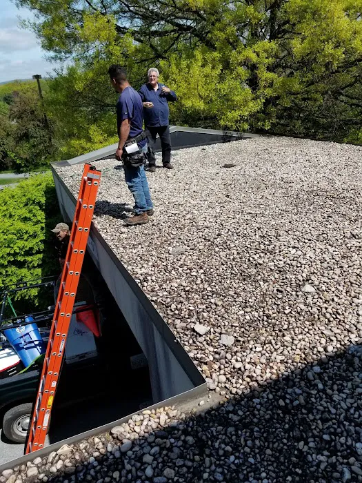 RyuKen Roofing Picture 1