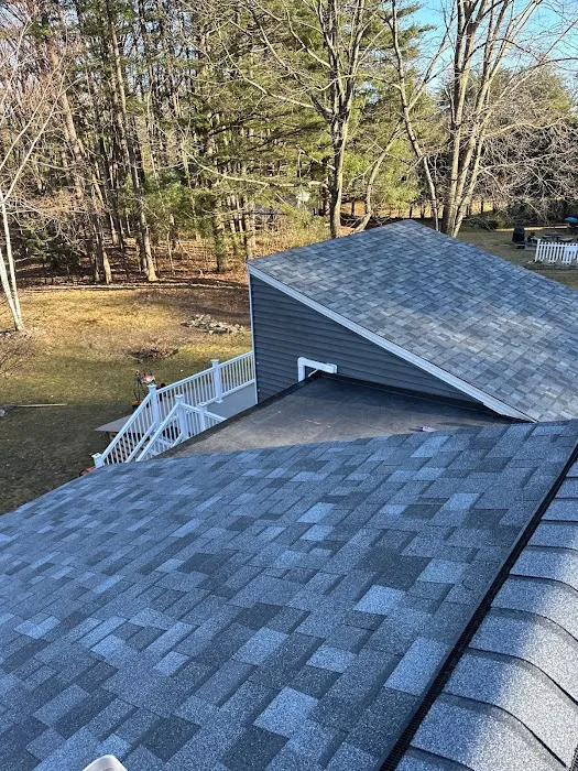 Red Dog's Roofing LLC Picture 3