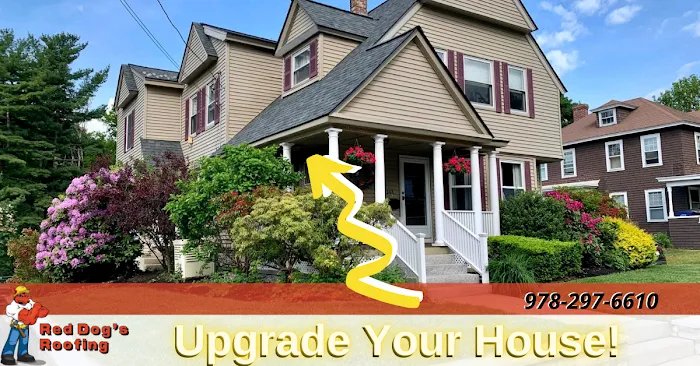 Red Dog's Roofing LLC Picture 4