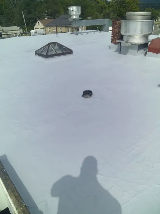 Pro Roofing & Construction Picture 7