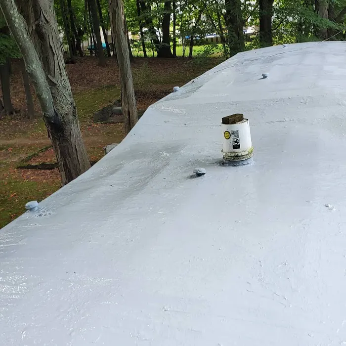 Pro Roofing & Construction Picture 5