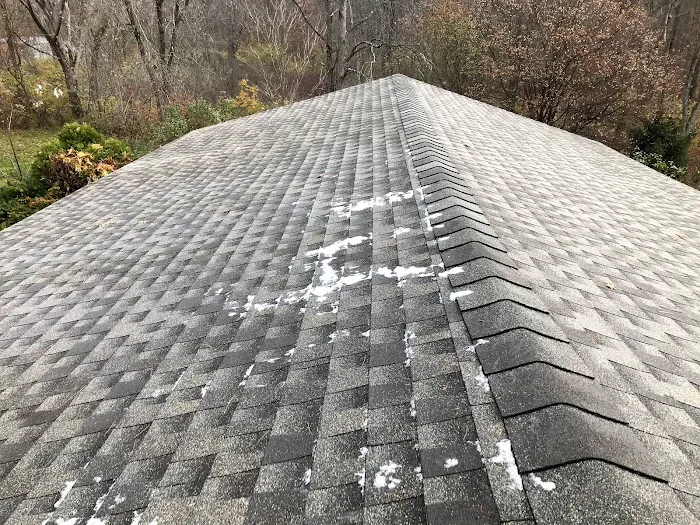 A+ roofing and renovation Picture 1
