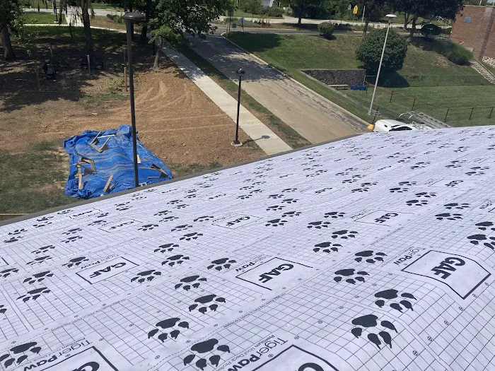 Cape Roofing & Exteriors Picture 3