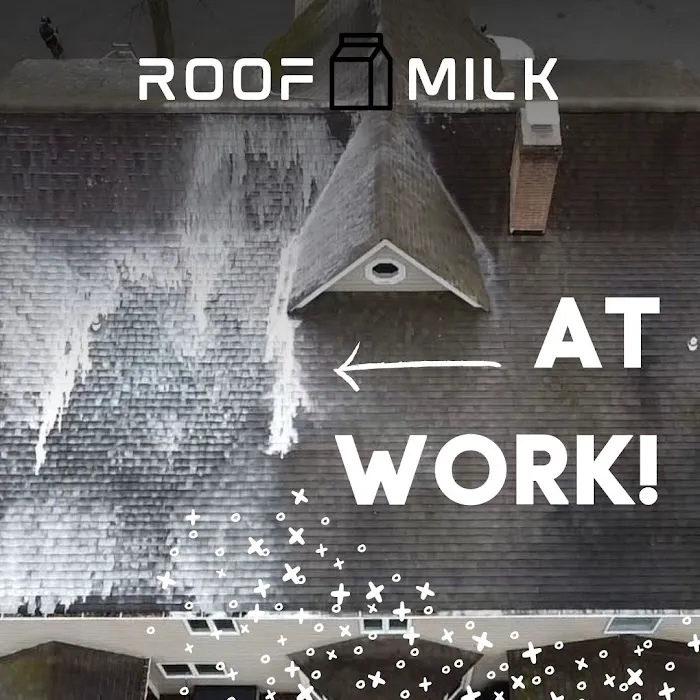 Roof Milk Picture 4