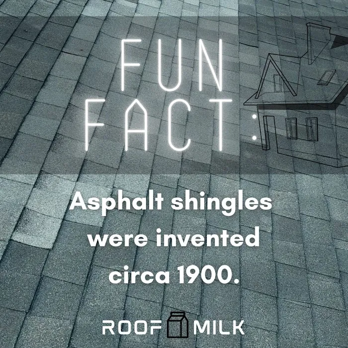Roof Milk Picture 8