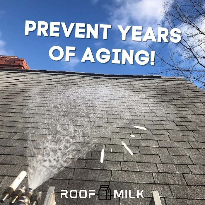 Roof Milk Picture 5