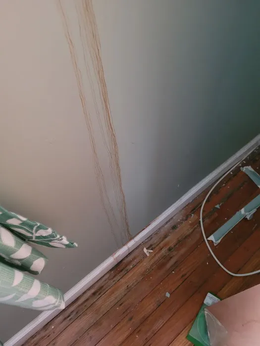 1st Choice Roofing Picture 3