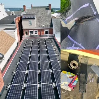 The Exterior Company Picture 3