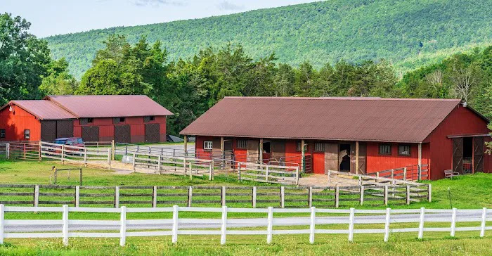 Wildwood Roofing & Construction Picture 6