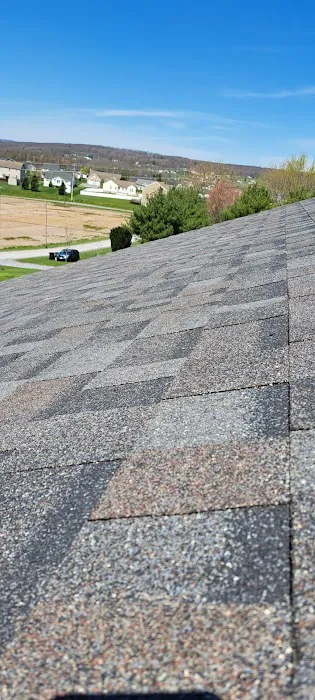 Lion Country Contracting Picture 9