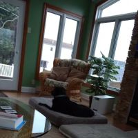 C & C Contractors ico