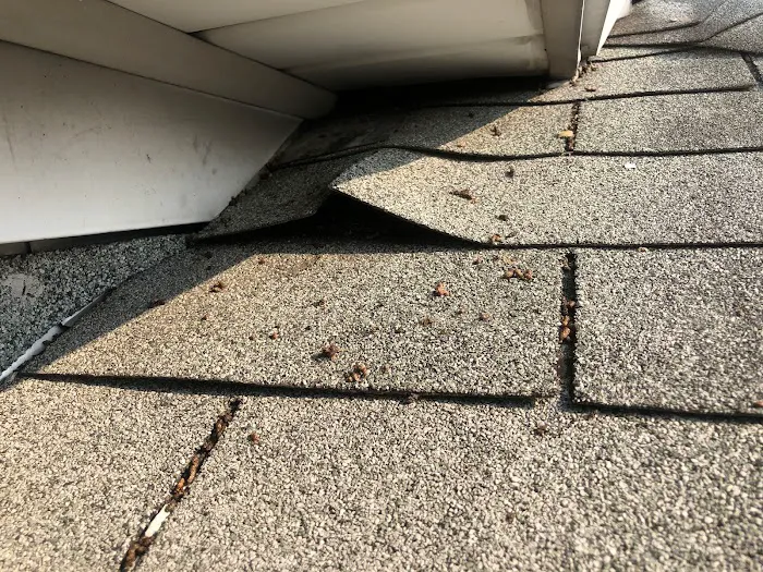 Brown's Roofing Picture 8